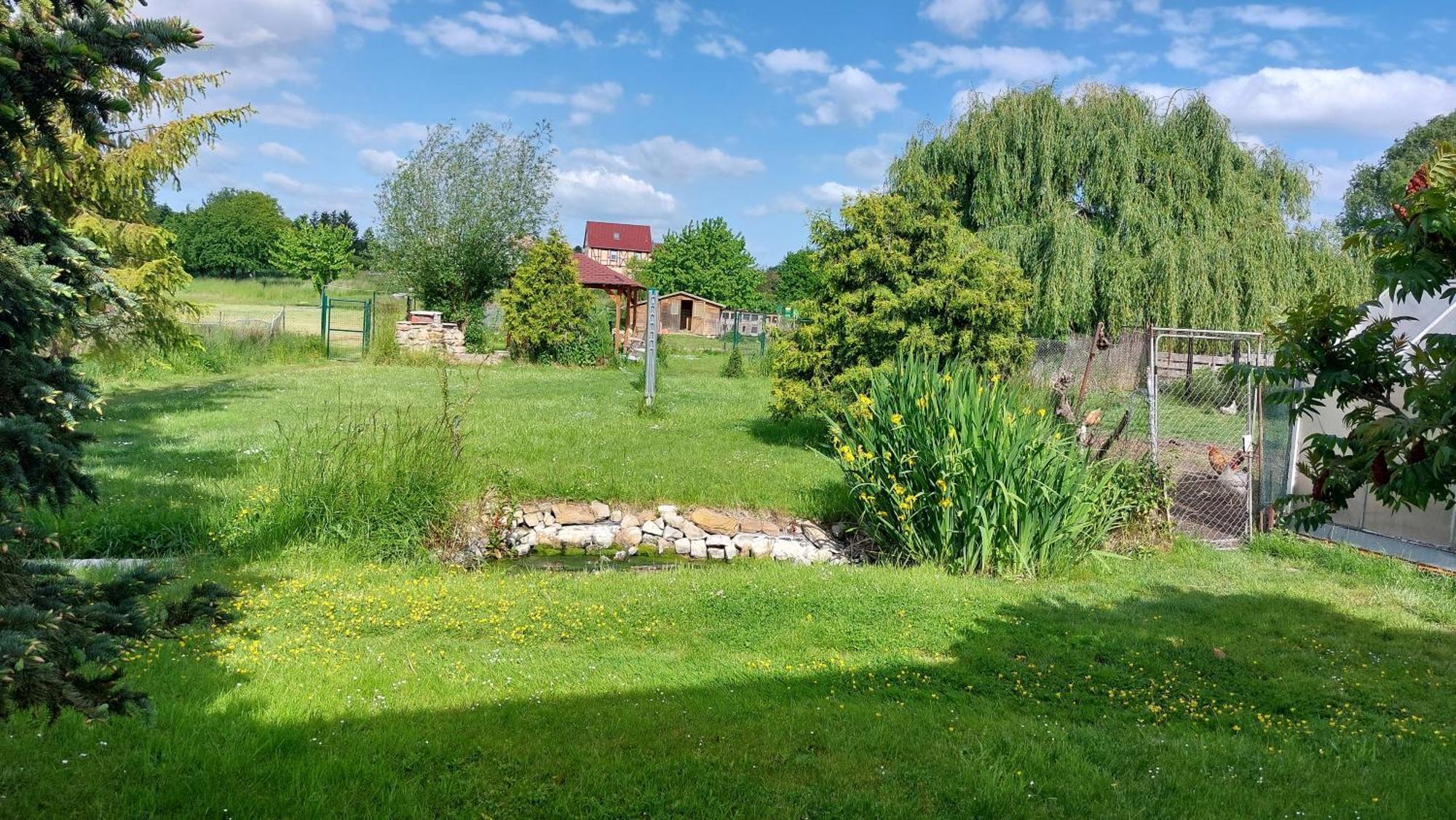 Apartment Am Moorteich
