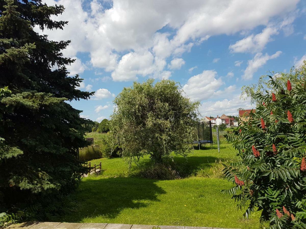 Am Moorteich Apartment Thale