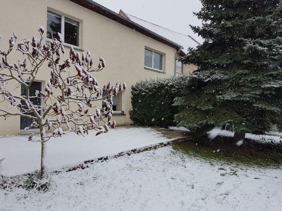 Am Moorteich Apartment Thale