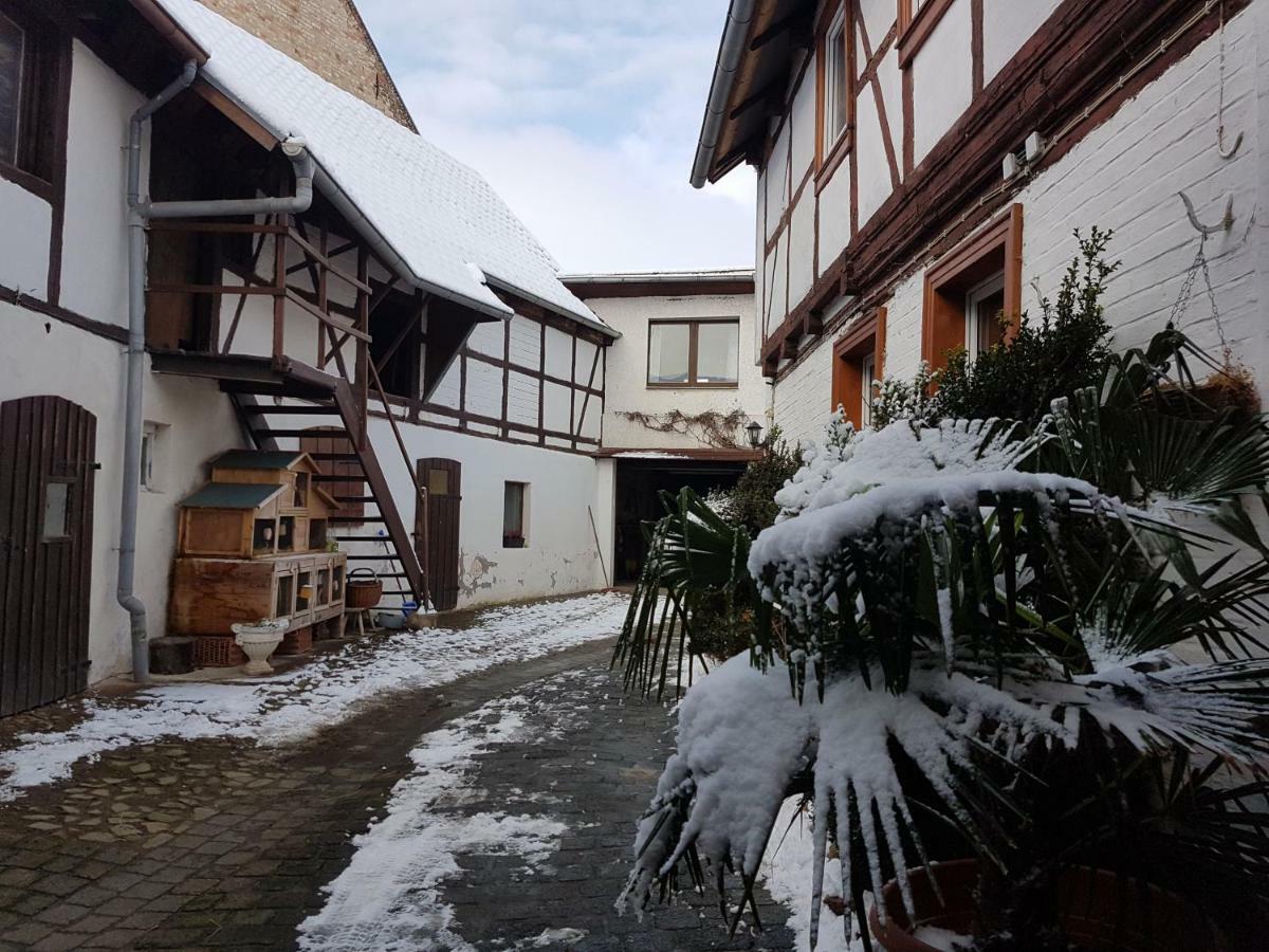 Apartment Am Moorteich Thale
